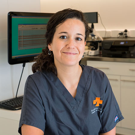 Hospital Veterinario Buenavista